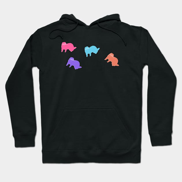 Colored Ferrets Hoodie by biologistbabe